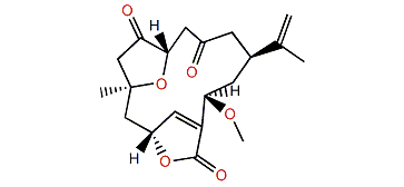 Scabrolide C